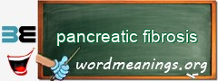 WordMeaning blackboard for pancreatic fibrosis